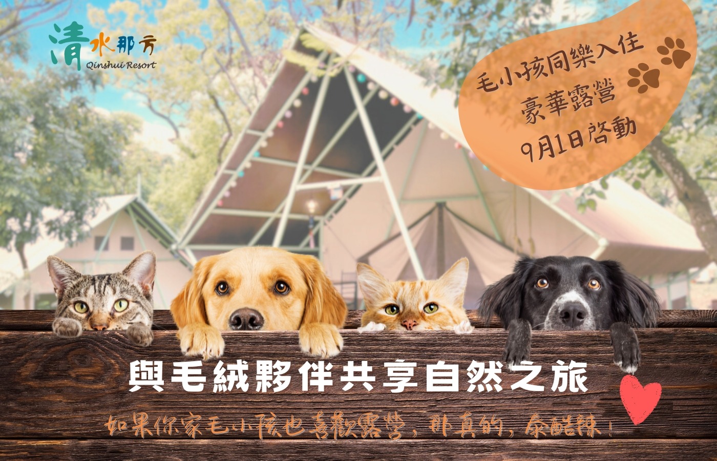 豪寵露營